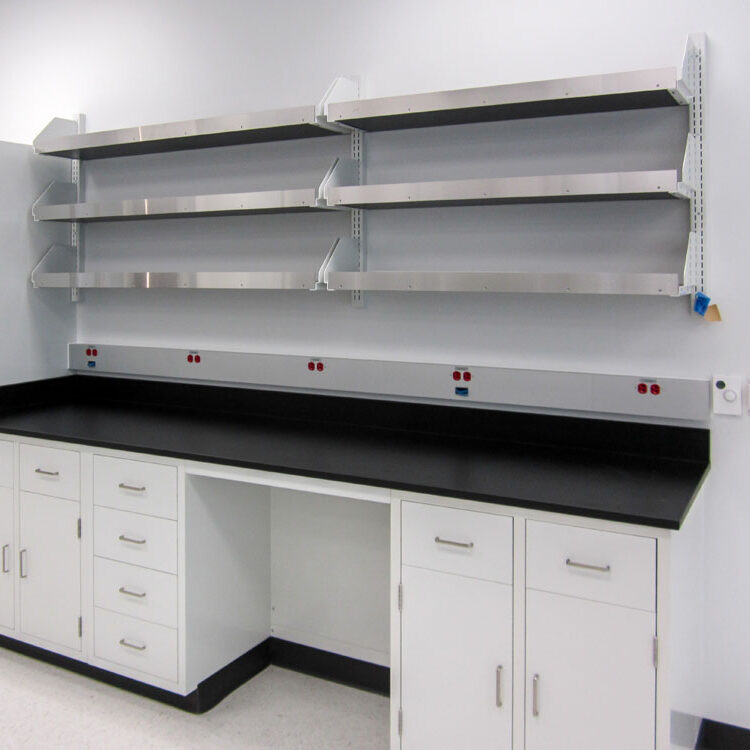 laboratory island shelving systems
