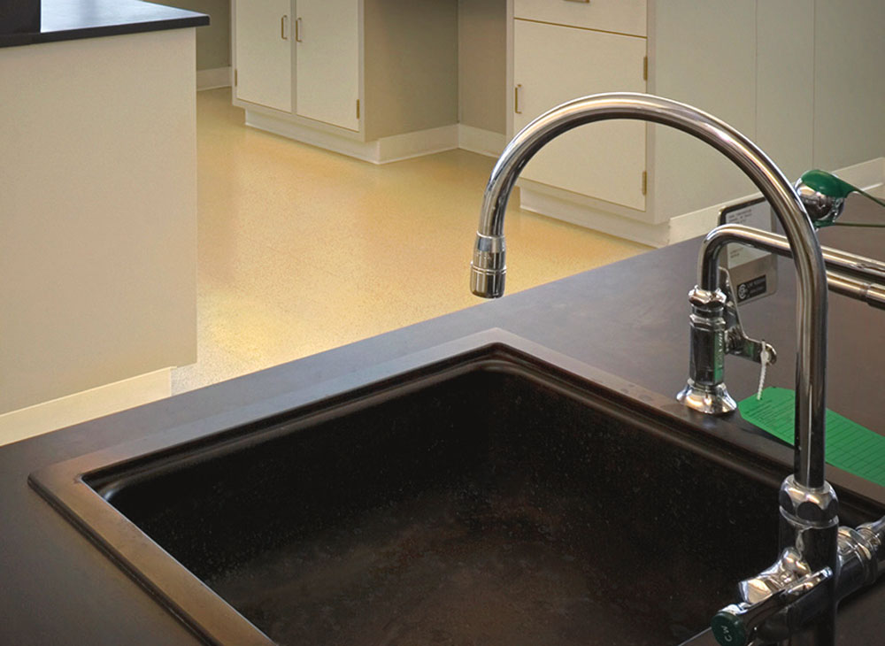 Laboratory Sink